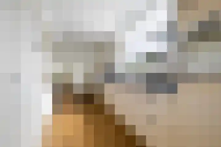 Thiedamawei 10 Damwâld thumbnail 22