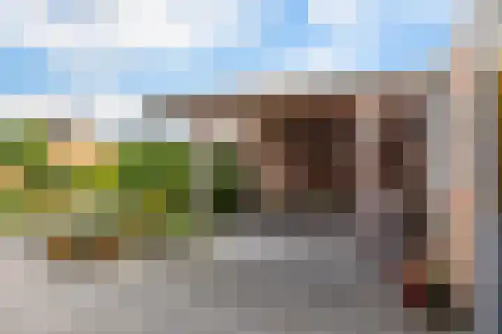 Thiedamawei 10 Damwâld thumbnail 26