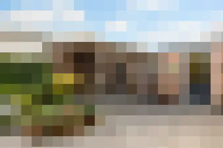 Thiedamawei 10 Damwâld thumbnail 28