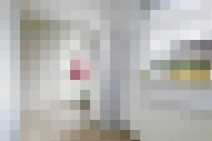 Thiedamawei 10 Damwâld thumbnail 30