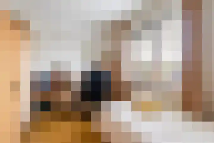 Thiedamawei 10 Damwâld thumbnail 32