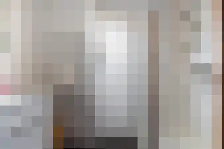 Thiedamawei 10 Damwâld thumbnail 36