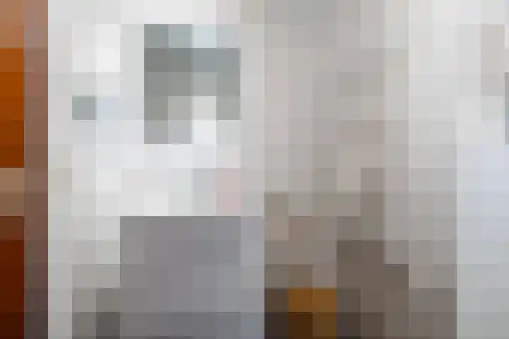 Thiedamawei 10 Damwâld thumbnail 37