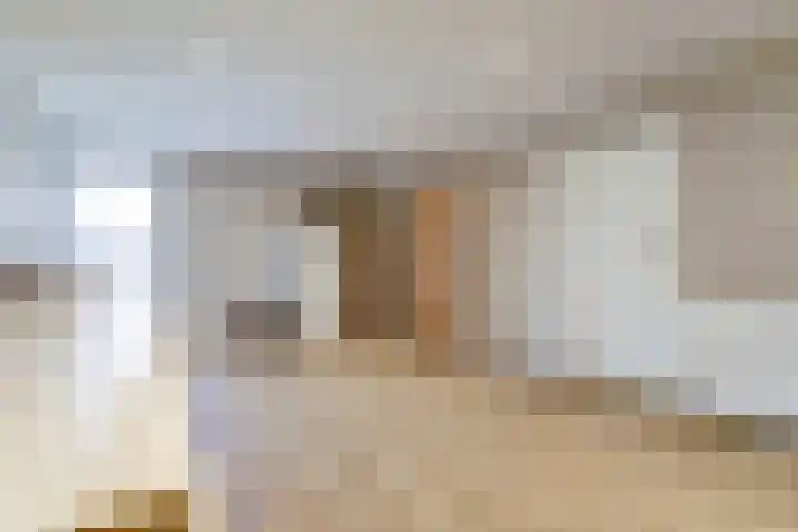 Thiedamawei 10 Damwâld thumbnail 48
