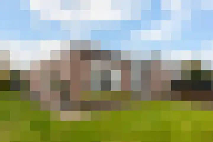 Thiedamawei 10 Damwâld thumbnail 7