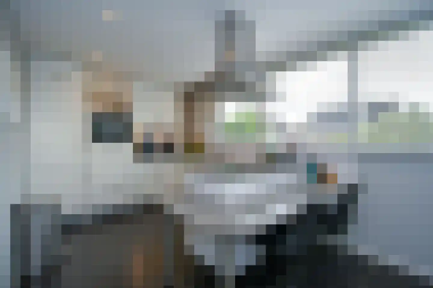 Thiedamawei 14 Damwâld thumbnail 17