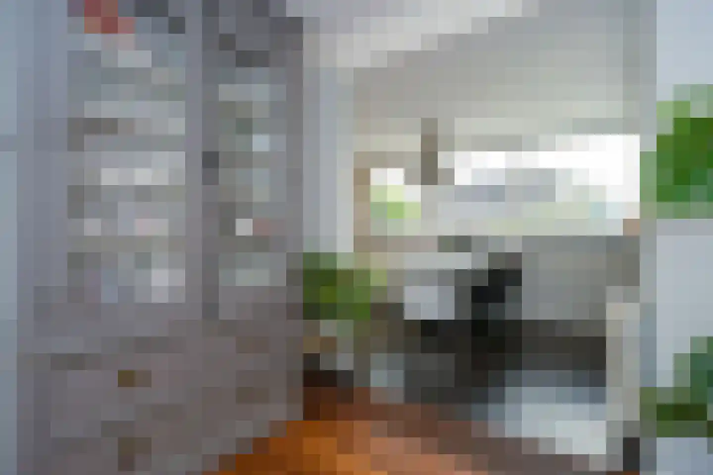 Thiedamawei 14 Damwâld thumbnail 20