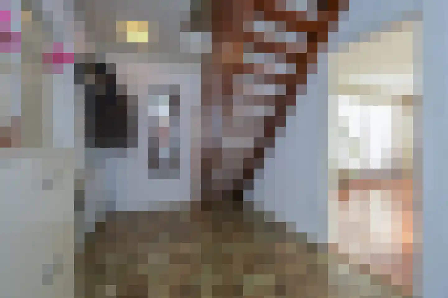 Thiedamawei 14 Damwâld thumbnail 30