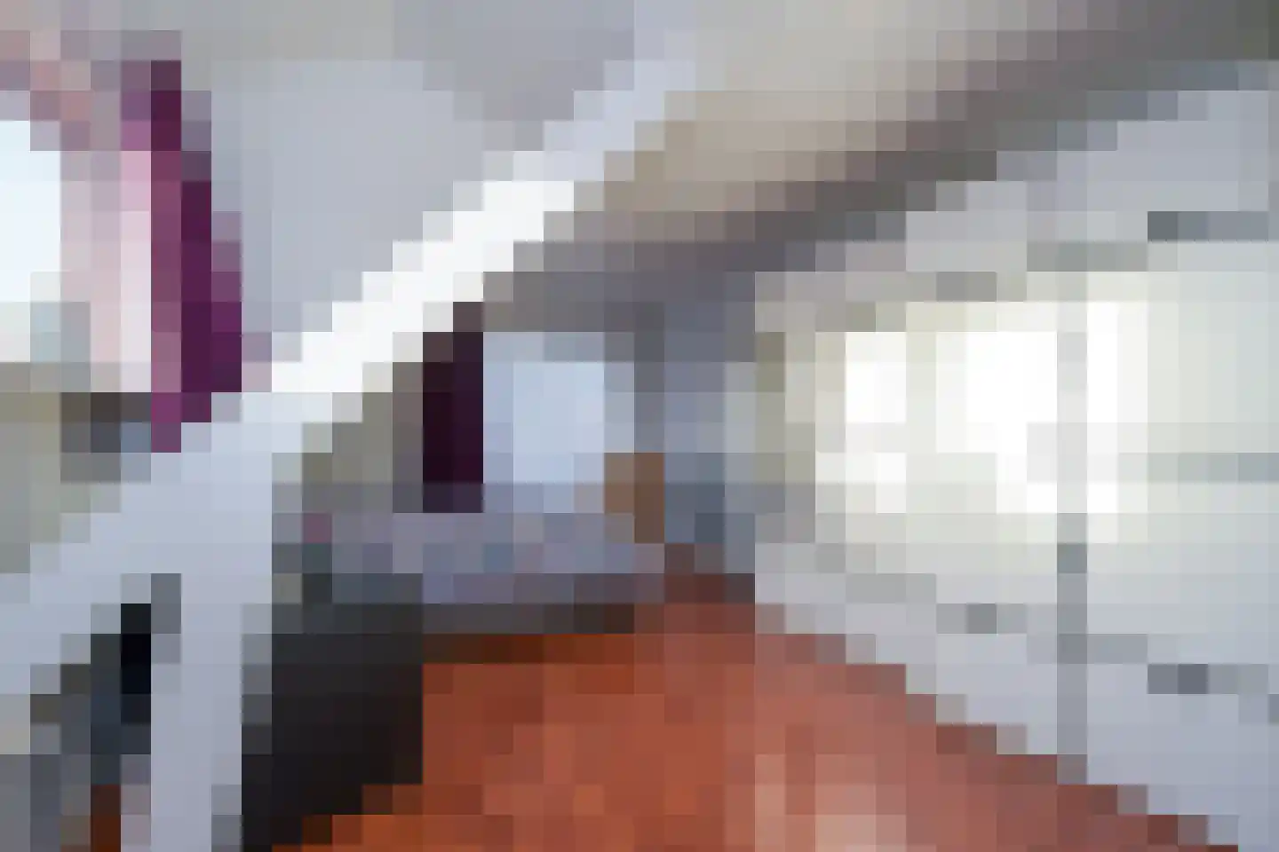 Thiedamawei 14 Damwâld thumbnail 37