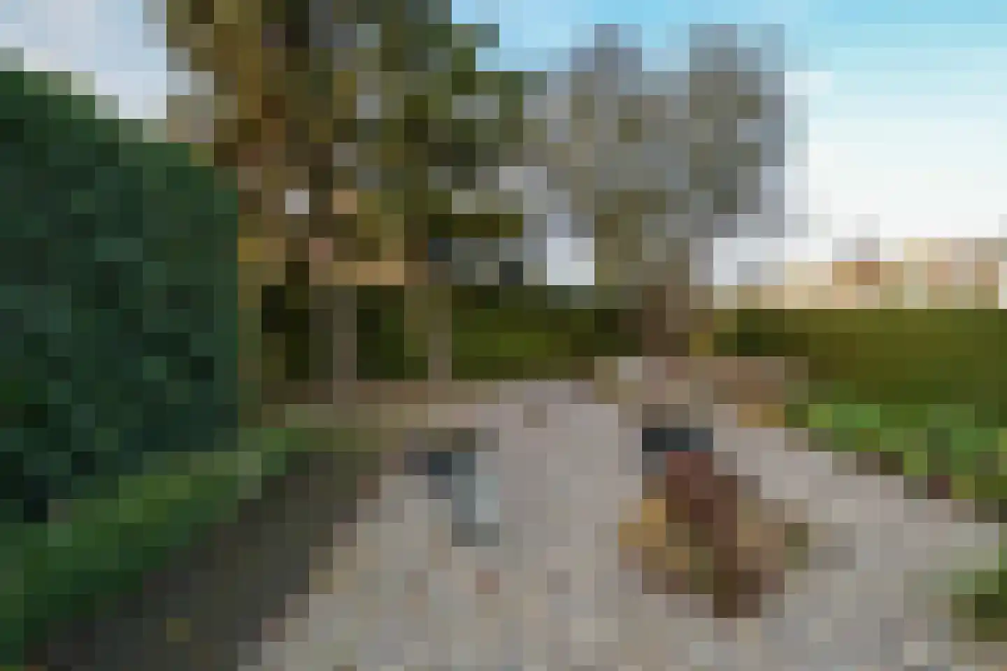 Thiedamawei 14 Damwâld thumbnail 51