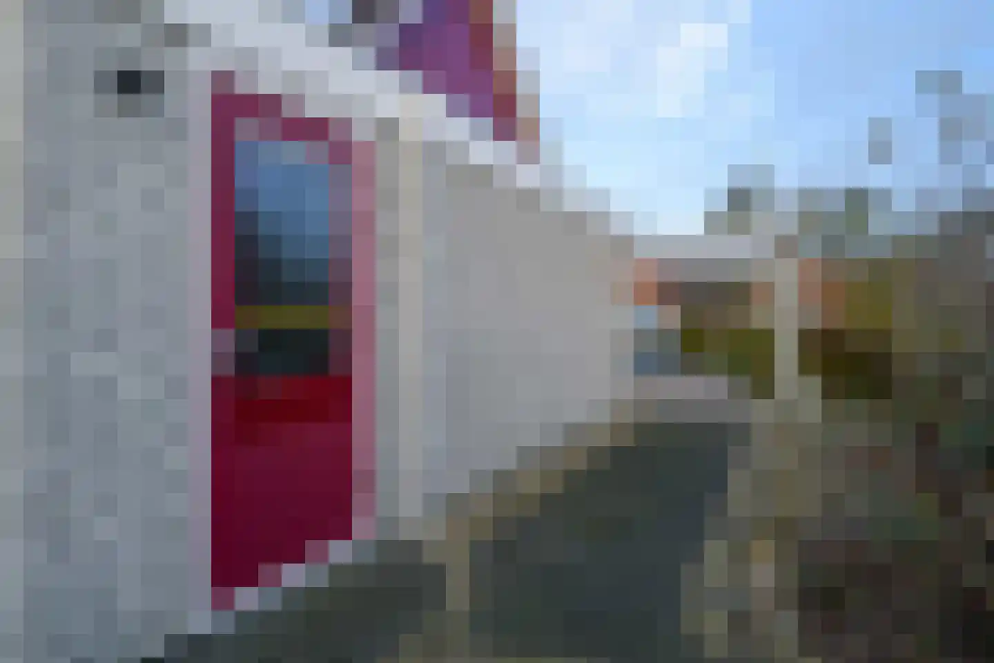 Thiedamawei 14 Damwâld thumbnail 54