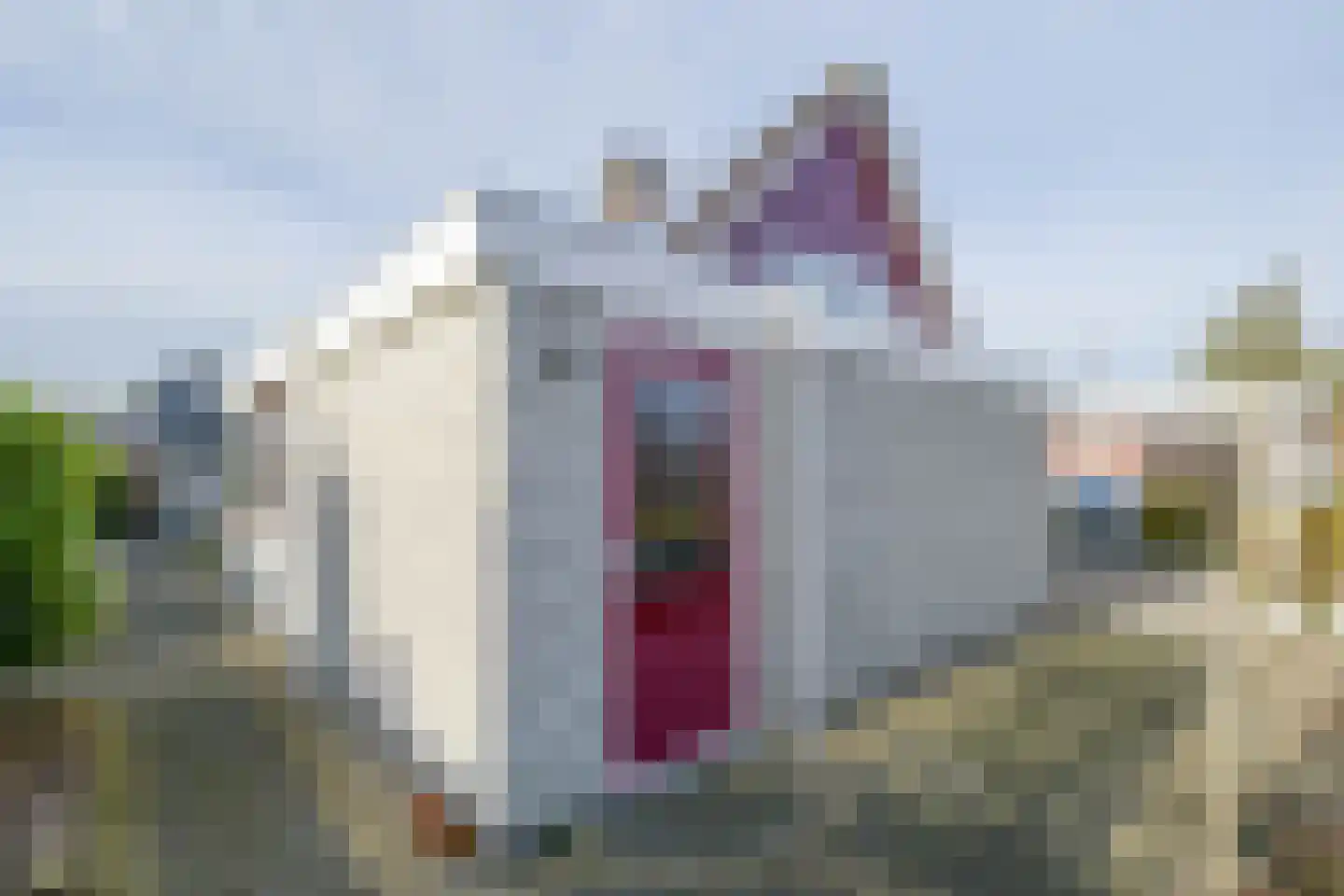 Thiedamawei 14 Damwâld thumbnail 62