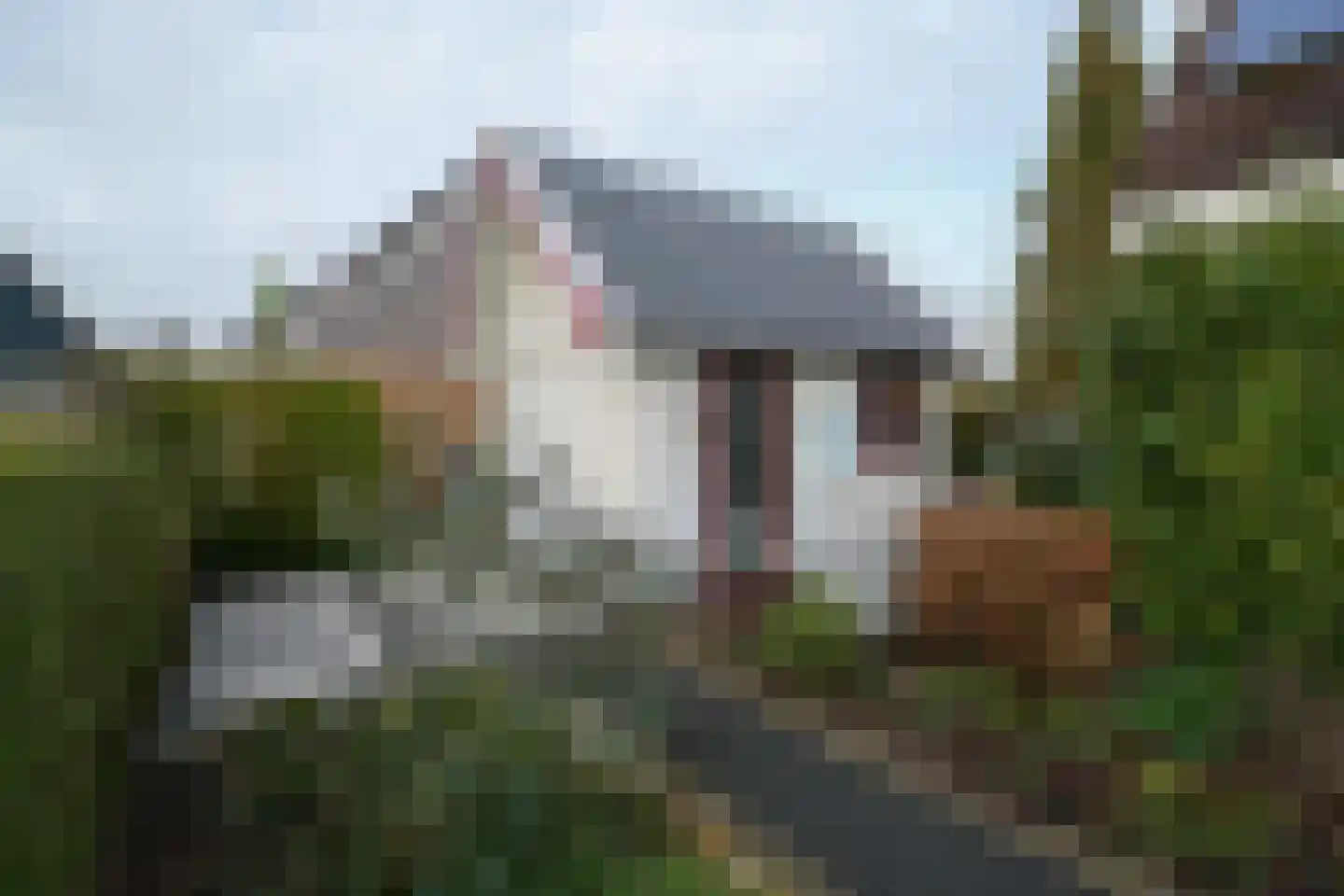 Thiedamawei 14 Damwâld thumbnail 64