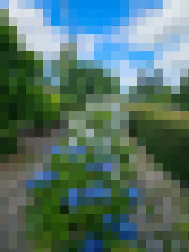Thiedamawei 14 Damwâld thumbnail 79