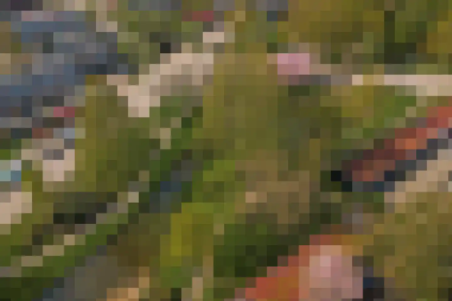 Thielmonde 27 Oud-Beijerland thumbnail 27