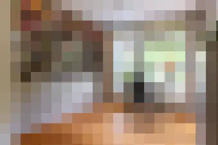 Thierenshof 1 Naarden thumbnail 37