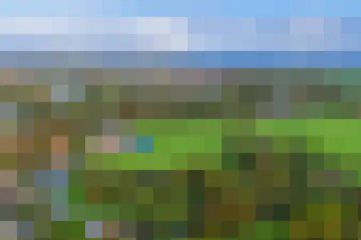 Thierenshof 1 Naarden thumbnail 4