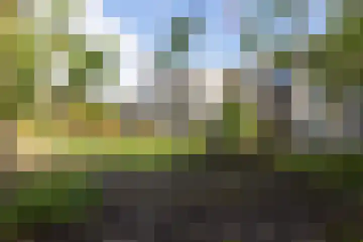 Thierenshof 1 Naarden thumbnail 45