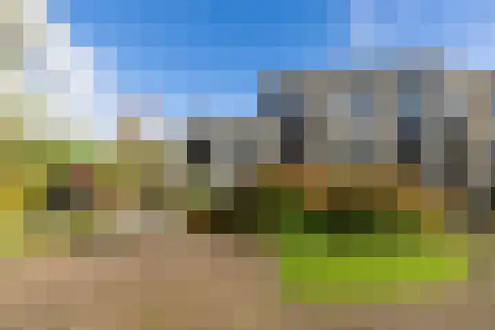 Thierenshof 1 Naarden thumbnail 47