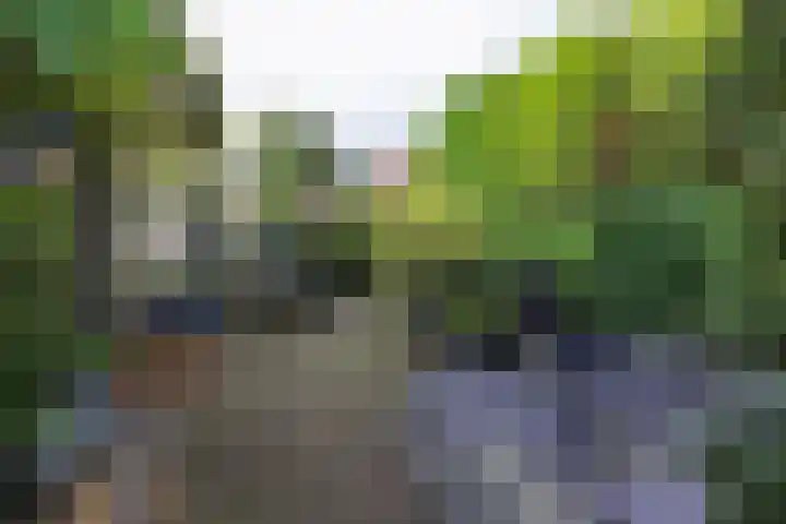 Thierenshof 1 Naarden thumbnail 49