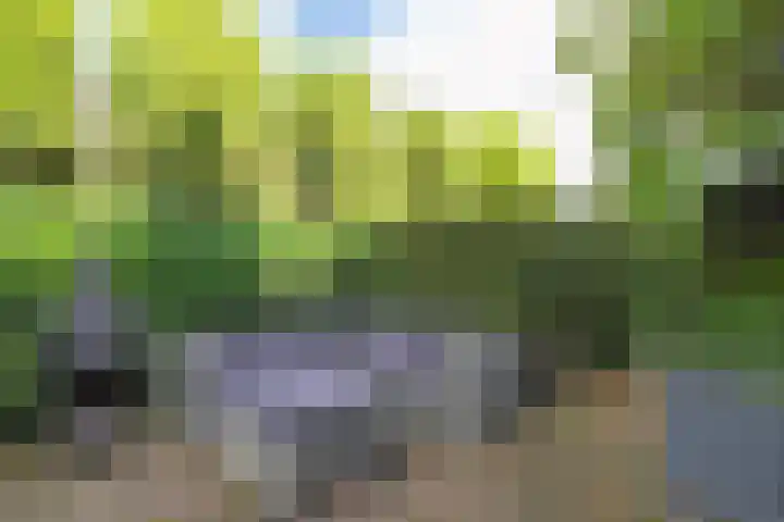 Thierenshof 1 Naarden thumbnail 50