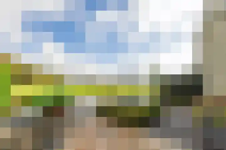 Thierenshof 1 Naarden thumbnail 52