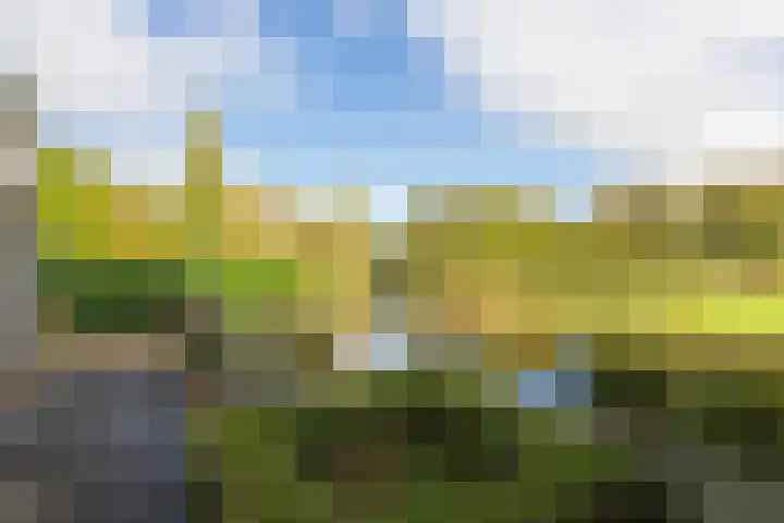 Thierenshof 1 Naarden thumbnail 53