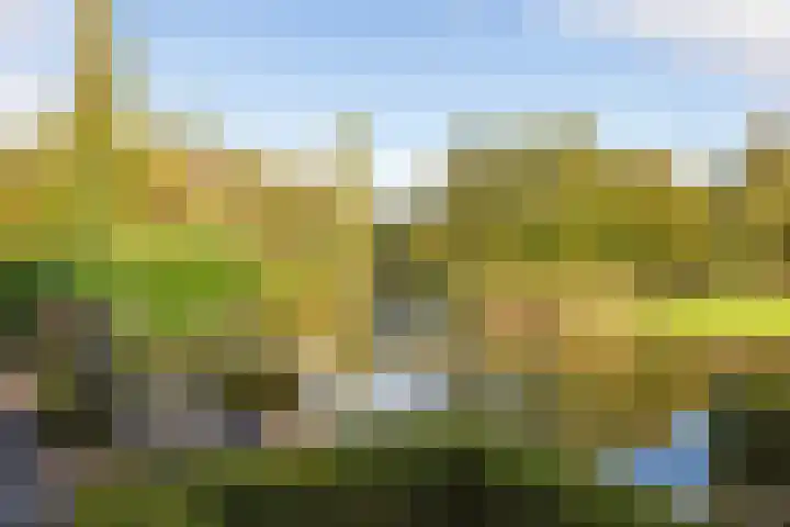 Thierenshof 1 Naarden thumbnail 54