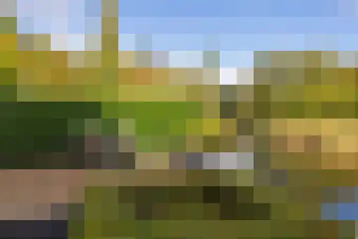 Thierenshof 1 Naarden thumbnail 55