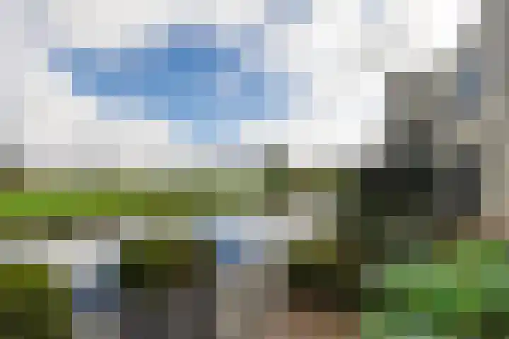 Thierenshof 1 Naarden thumbnail 56