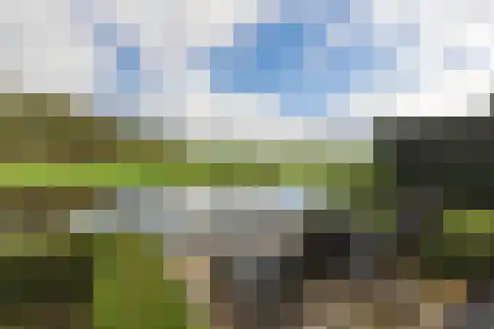 Thierenshof 1 Naarden thumbnail 57