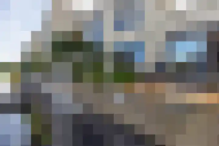 Thierenshof 1 Naarden thumbnail 58