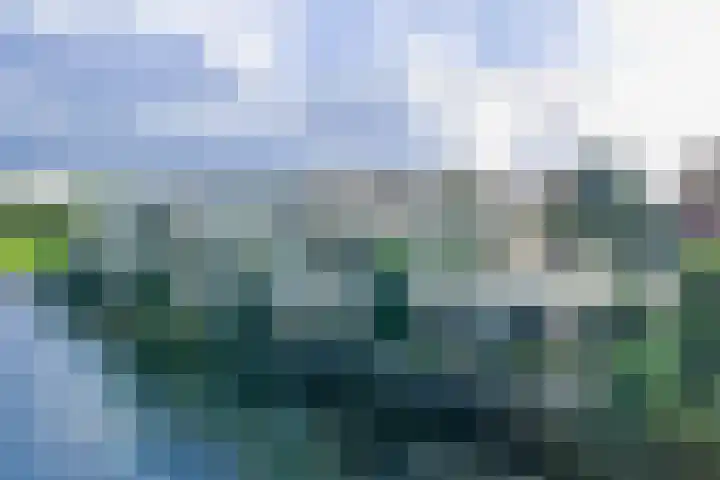 Thierenshof 1 Naarden thumbnail 6
