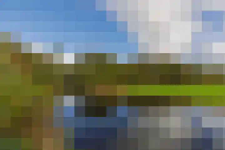 Thierenshof 1 Naarden thumbnail 60