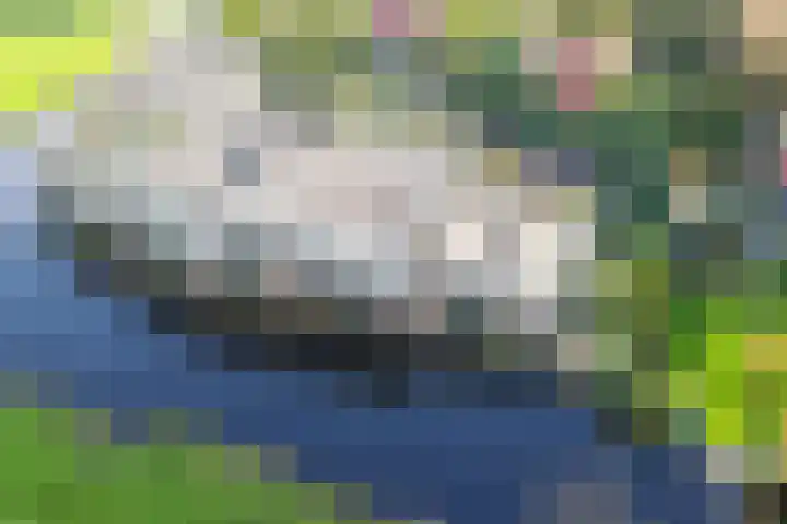 Thierenshof 1 Naarden thumbnail 67