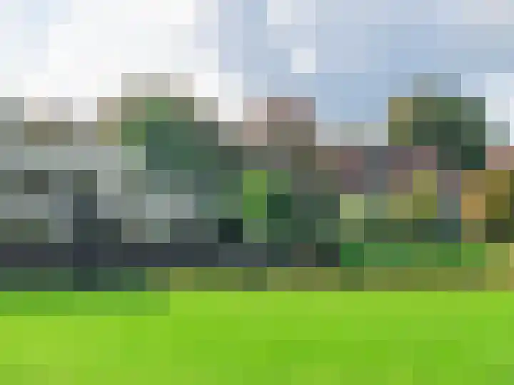 Thierenshof 1 Naarden thumbnail 69