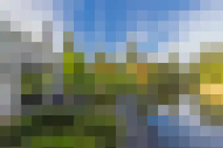 Thierenshof 1 Naarden thumbnail 7