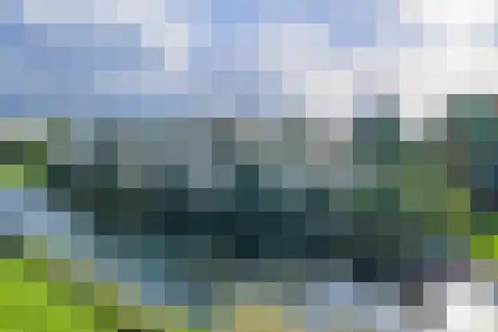 Thierenshof 1 Naarden thumbnail 70