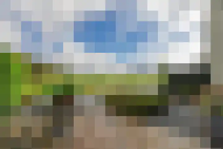 Thierenshof 1 Naarden thumbnail 8