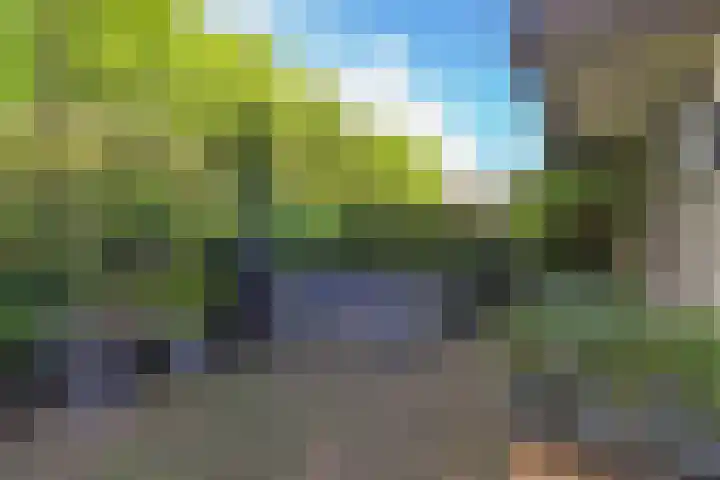 Thierenshof 1 Naarden thumbnail 9