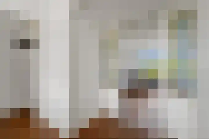 Thierenskade 112 Rijswijk thumbnail 11
