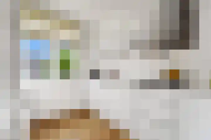 Thierenskade 112 Rijswijk thumbnail 14