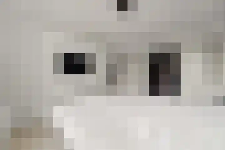 Thierenskade 112 Rijswijk thumbnail 22