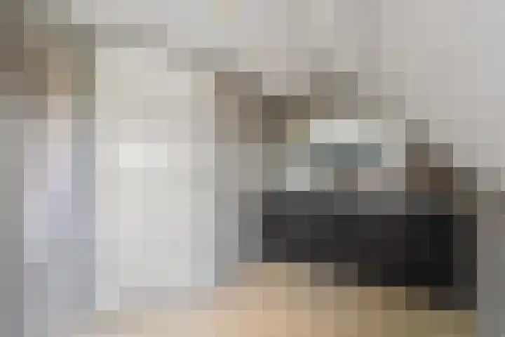 Thierenskade 112 Rijswijk thumbnail 28