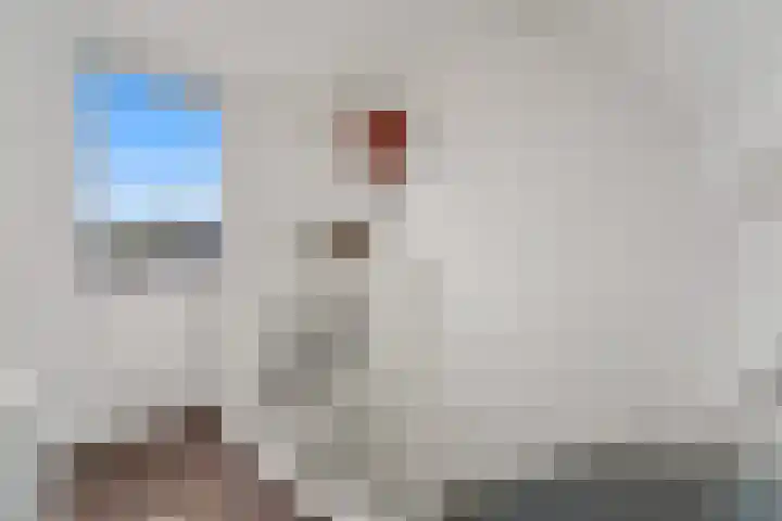 Thierenskade 112 Rijswijk thumbnail 33