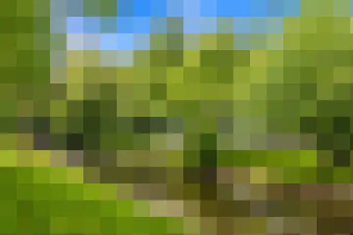 Thierenskade 112 Rijswijk thumbnail 47