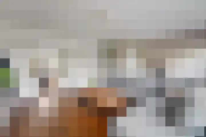 Thierenskade 112 Rijswijk thumbnail 8