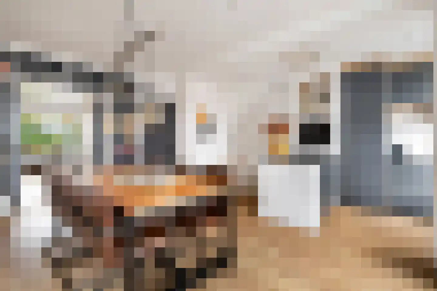 Thierenskade 118 Rijswijk thumbnail 14