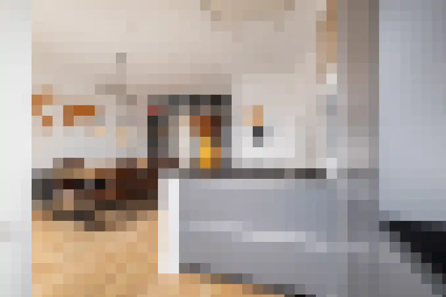 Thierenskade 118 Rijswijk thumbnail 19