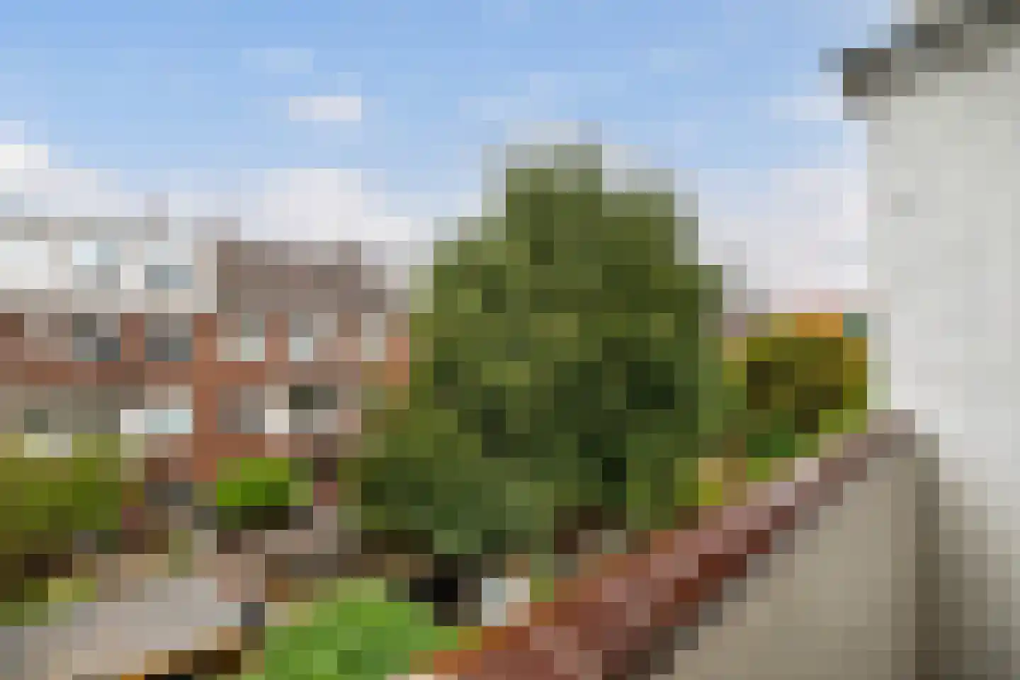 Thierenskade 118 Rijswijk thumbnail 22